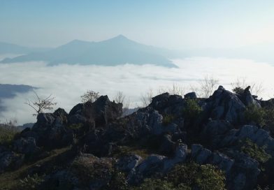 ผาหินปูน 300 ล้านปี ไม่มีที่นี่ ไม่มีประเทศไทย “ผาตั้ง” เชียงราย